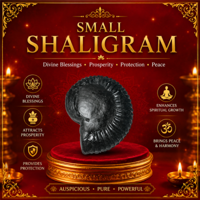 Small Shaligram